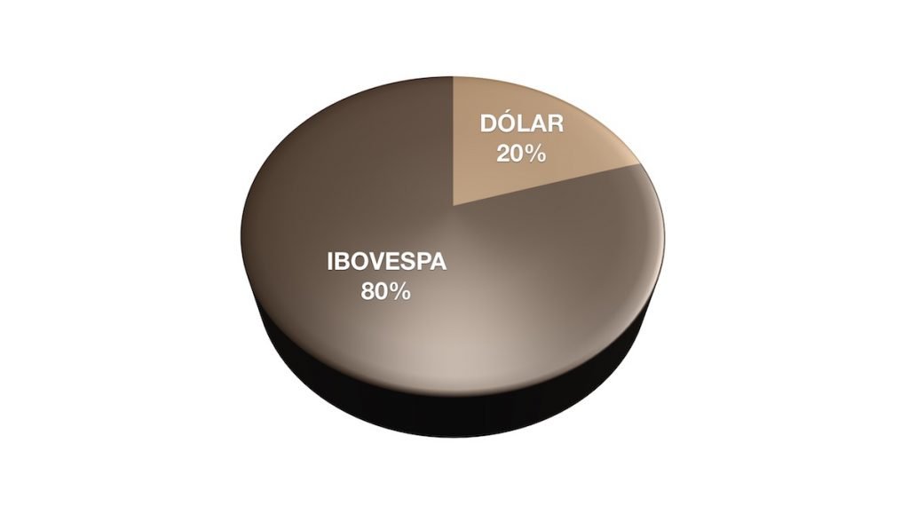 Ilustração com gráfico de pizza mostrando Ibovespa com 80% e Dólar com 20%